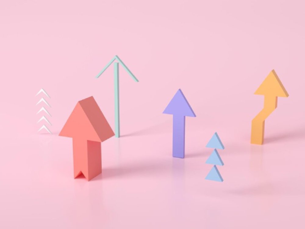 Web analytics services Expert
